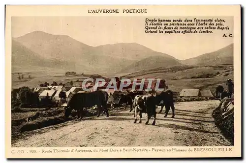 Ansichtskarte AK L&#39Auvergne Poetique Route Thermale d&#39Auvergne du Mont Dore a Saint Nectaire Paysage au Ham