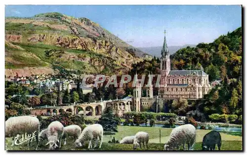 Ansichtskarte AK Lourdes La Basilique et le Pic du Jer Moutons