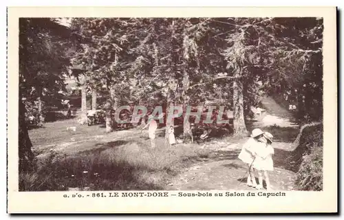 Cartes postales Le Mont Dore Sous Bois Au Salon Du Capucin