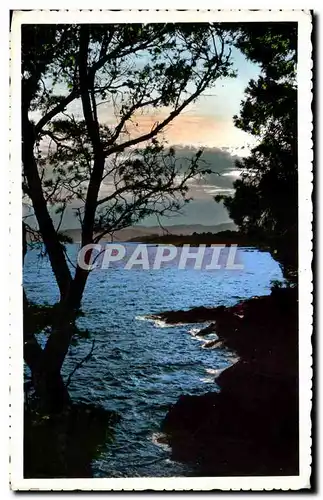 Cartes postales La Cote D&#39Azur Crespuscule