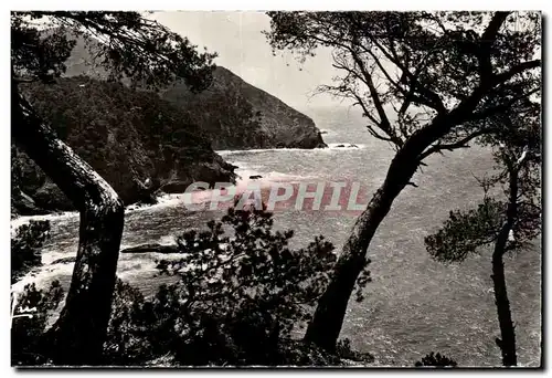 Cartes postales Cote d'Azur Le Cap Sicie