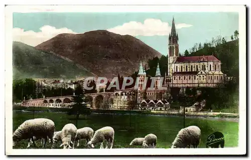 Ansichtskarte AK Lourdes La Basilique et le Pic du Jer moutons