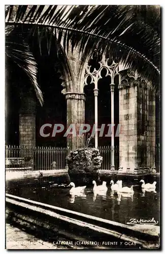 Cartes postales Barcelona Catedrale Fuente Y Ocas