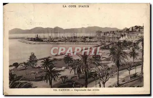 Ansichtskarte AK Cannes Esplanade des Allies