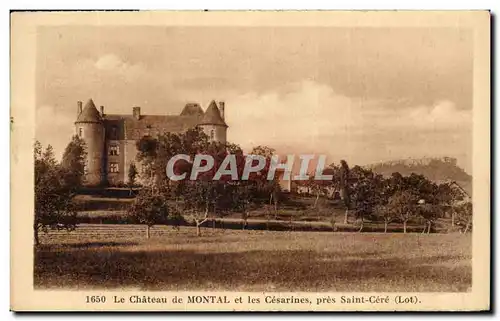 Cartes postales Le Chateau de Montal et Les Cesarines pres Saint Cere