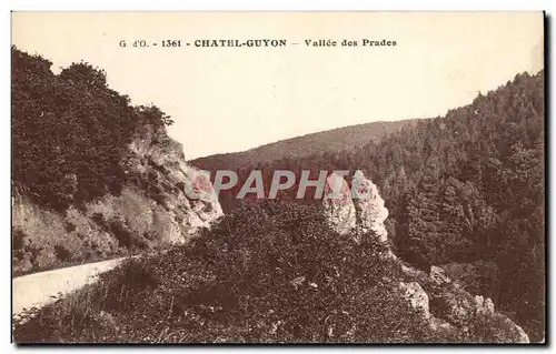 Cartes postales Chatel Guyon Vallee des Prades