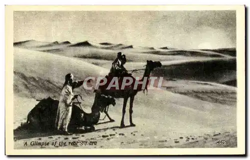 Ansichtskarte AK A Gllmpse Of The Real Sahara Chameau Egypte