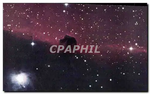 Cartes postales Horsehead Nebula The Dark Horses&#39s Head Is A cloud Of Opaque Gas