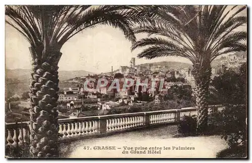 Cartes postales Grasse Vue Prise entre les Palmiers du Grand Hotel