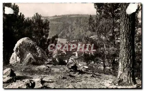 Cartes postales Saint Leonard Des Bois Vue du bourg a travers les pins