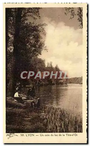 Cartes postales Lyon Un coin du lac de la Tete d&#39Or