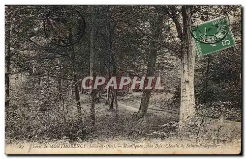 Ansichtskarte AK Foret Montmorency Monflignon sous Bois Chemin de Sainte Radegonde