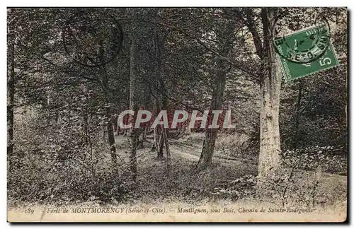 Cartes postales Foret Montmorency Monflignon sous Bois Chemin de Sainte Radegonde