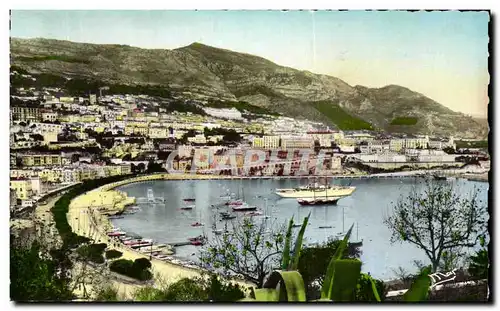 Cartes postales La Principaute De Monaco Monte Carlo Vue d'ensemble