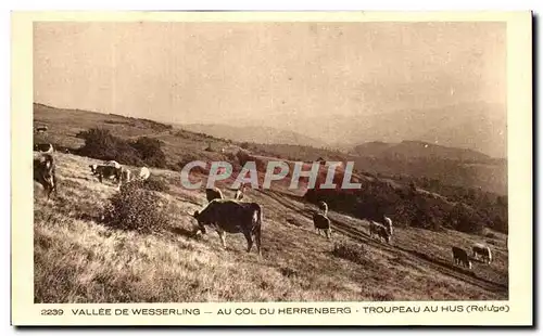 Ansichtskarte AK Vallee De Wesserling Au Col Du Herrenberg Troupeau Au Hus Refuge Vaches