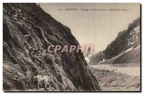 Ansichtskarte AK Chamonix Passage du Mauvais Pas et Aiguille du Geant