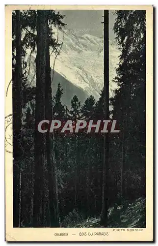 Cartes postales Chamonix Bois Du Paradis