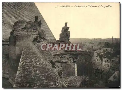 Cartes postales Amiens Cathedrale Chimeres Et Gargouilles