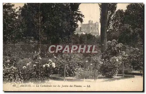Cartes postales Amiens La Cathedrale vue du Jardin des Plantes