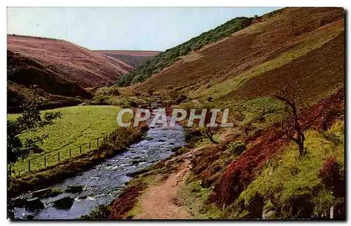 Cartes postales moderne The doone Valley Exmoor