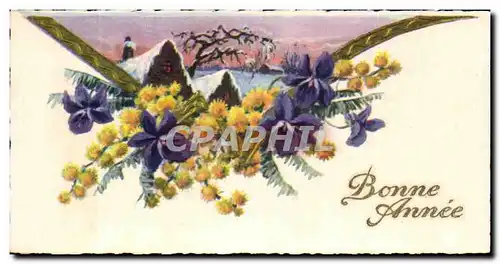 Cartes postales Fantaisie Bonne Heureuse Annee