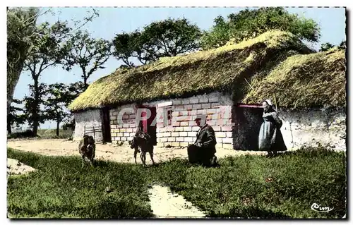 Ansichtskarte AK Visions En Vendee Au Pays Maraichin Une Bourine Dans Les Marais Chevres