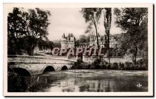 Cartes postales Rigny Usse Le Chateau Et l&#39Indre