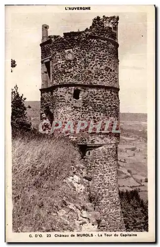 Cartes postales Chateau de Murols La Tour du Capitaine