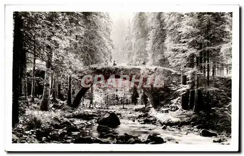 Cartes postales Environs Du Hohneck Le Pont des Fees