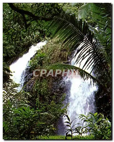 Cartes postales moderne Double Water falls at Faaone Double Cascade du Distrit de Faaone Tahiti