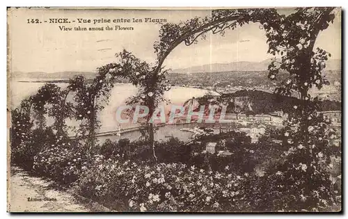 Cartes postales Nice Vue prise entre les Fleurs