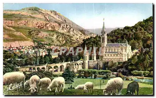 Cartes postales moderne Lourdes La Basilique et le Pic du Jer Moutons