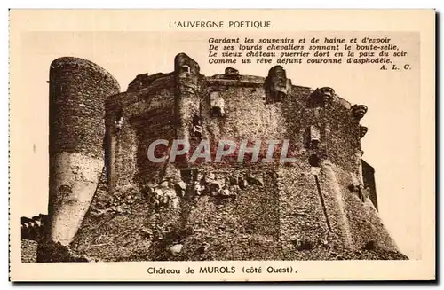 Cartes postales Chateau De Murols