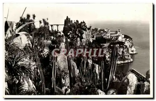 Cartes postales le Rocher de Monaco vu des Jardins exotiques