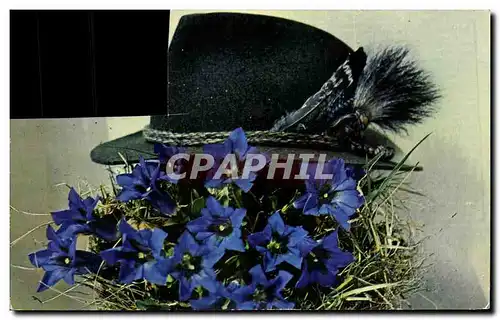 Cartes postales Au Pays Du Mont Blanc Les Fleurs De Nos Montagnes La Gentiane Bleue