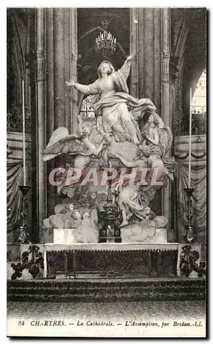 Cartes postales Chartres la Cathedrale L&#39Assomption Bridan