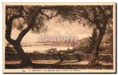 Cartes postales Menton Vue Generale Prise A Travers Les Oilviers