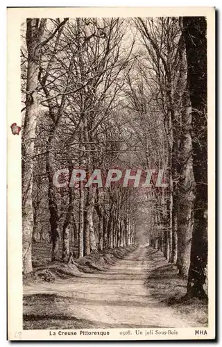 Cartes postales La Creuse Pittoresque Un Joli Sous Bois