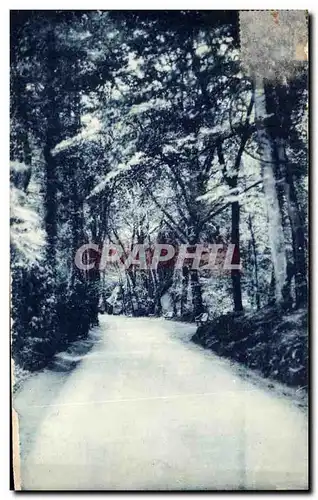 Cartes postales Station Thermale de Bagnoles de L'Orne L'Allee de Dante