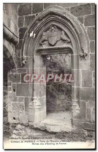 Cartes postales Chateau de Murols Porte de I&#39Escalier d&#39Honneur Armes des d&#39Estaing de France