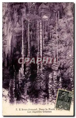 Cartes postales L'Aven Armand Dans la Foret Vierge Les Aiguilles Geantes