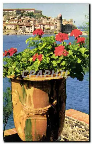 Cartes postales Collioure La ville et l&#39eglise