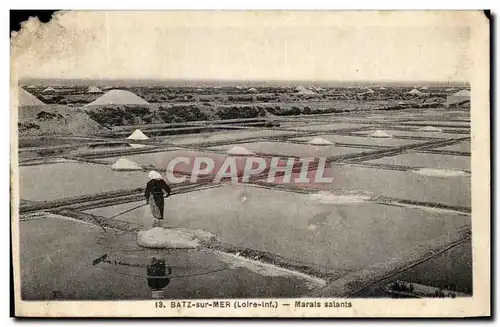 Cartes postales Batz sur Mer Marais Salants