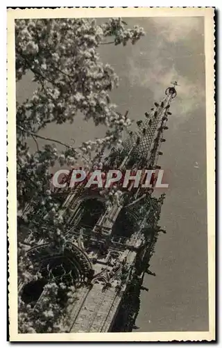 Cartes postales Chartres Cathedrale 1950