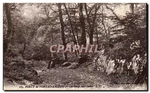 Ansichtskarte AK Foret de Fontainebleau Le Gorge aux Loups