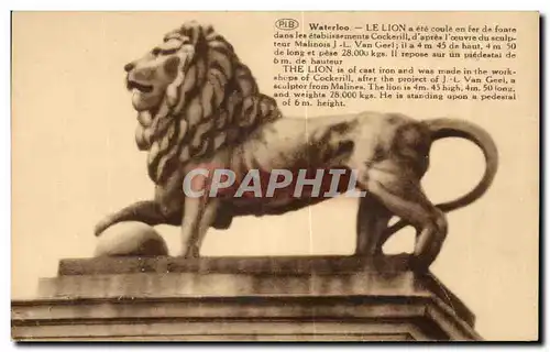 Cartes postales Waterloo Le lion