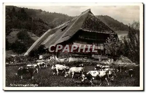 Cartes postales Schwarzwald idylle Vaches