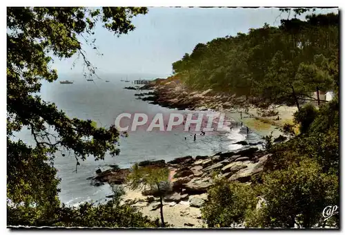 Cartes postales moderne Ile De Noirmoutier La Plage L&#39Anse Rouge