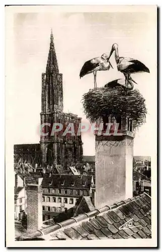 Cartes postales Strasbourg Les Cigognes