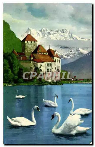 Cartes postales moderne Lac Leman Chateau de Chillon et dents du midi Cygnes